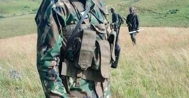 Umuriro w’imbunda z’amadubu watumye abakorera mu kwaha kwa Leta bagira ihahamuka!