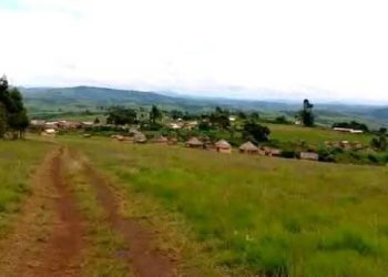 Ihuriro ry’ingabo za Congo mu gitero zagabye ahatuwe n’Abanyamulenge zakibabarijwemo.