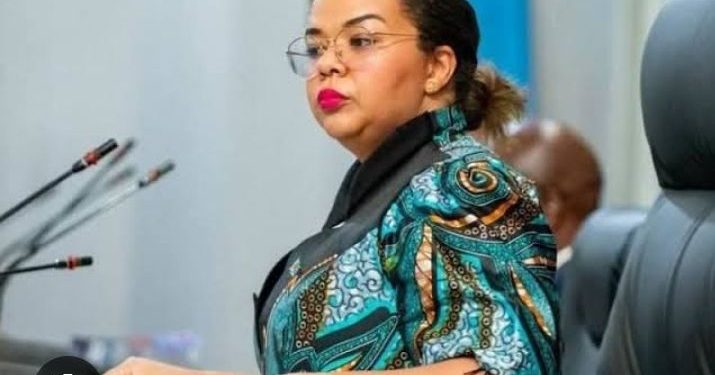 Minisitiri Kayikwamba wa RDC yavuze icyo igihugu cye giteganya gukora kuri FDLR.