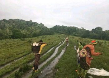 FARDC yagabye igitero mu Mikenke mu baturage.
