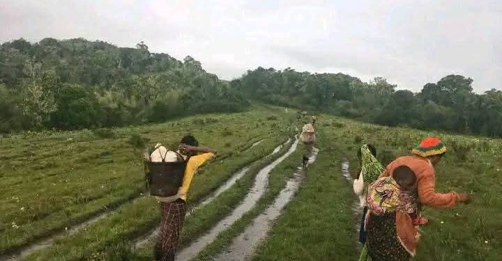 FARDC yagabye igitero mu Mikenke mu baturage.