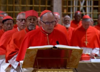 Ibyo wa menya ku bimenyetso by’imyotsi bigaragaza ko Papa yatowe cyangwa ataratorwa.