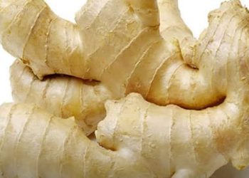 Dore ibintu byingenzi dusanga muri Tangawizi bigomba gutuma uyihata kuyirya.