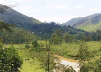 Abanyeshuri bo mu Bibogobogo hagaragajwe ikibahangayikishije kuruta ibindi.