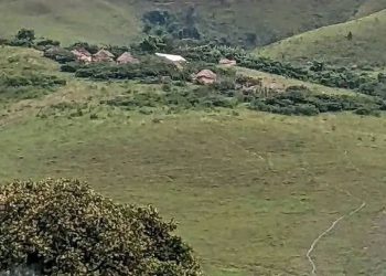 Ibyabaye ku za Tshisekedi mu Rugezi byatumye zihagarika gukora ibitero.