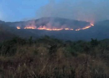 Icyikango cyari cyose mu Rugezi nyuma y’ibiteye ubwoba abariyo bari babonye.