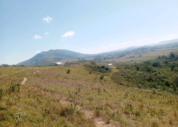 Hasobanuwe icyatumye ingabo z’u Burundi zikubita bamwe mu baturage b’i Ndondo zikabahindura intera.