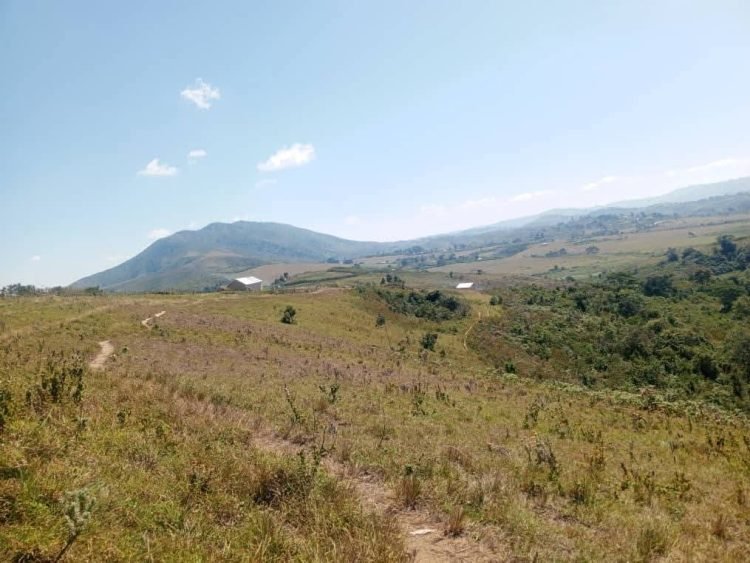 Hasobanuwe icyatumye ingabo z’u Burundi zikubita bamwe mu baturage b’i Ndondo zikabahindura intera.