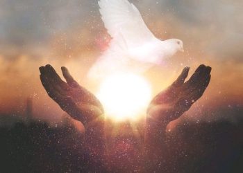 Inshingano z’Umwuka wera mu itorero n’izihe?