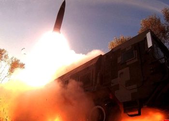 Ibyo wamenya ku ntwaro kirimbuzi n’ibihugu bizitunze.