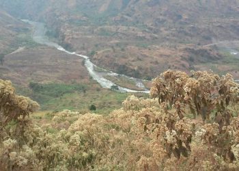 Muri RDC Wazalendo bishe Umuyobozi.