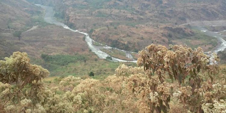 Muri RDC Wazalendo bishe Umuyobozi.