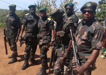 FARDC ntiyemera ibyo ishinjwa na Twirwaneho.