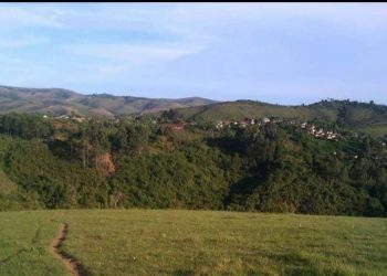 Abataramenyekana batemye Inka z’umugabo w’Umu-pasiteri..