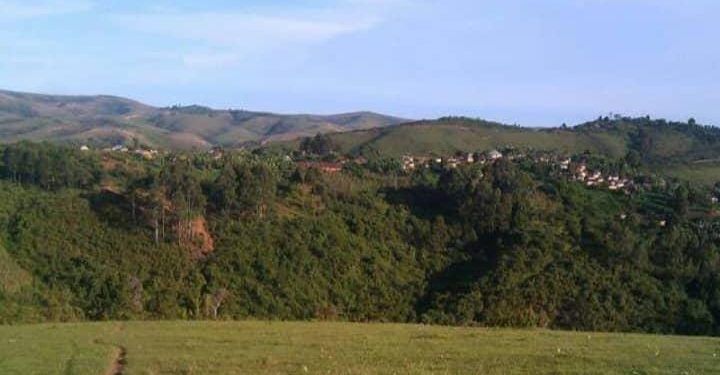 Abataramenyekana batemye Inka z’umugabo w’Umu-pasiteri..