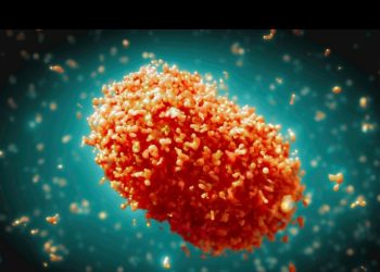 Muri RDC icyorezo gikaze gikomeje kuhazonga.