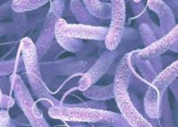 RDC: Abantu babarirwa mu mirongo bishwe na korera(cholera).