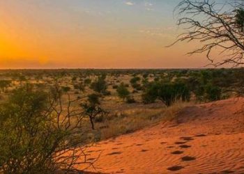 Botswana igiye kubaka umujyi ugezweho mu butayu.