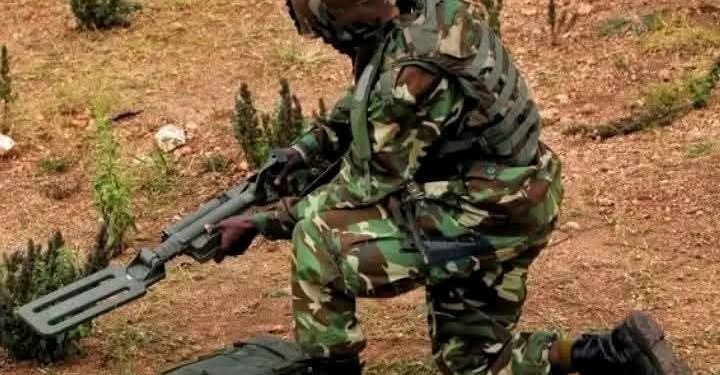 Abanyamulenge bari gukorerwa jenocide n’Ingabo z’u Burundi iza RDC na FDLR. Ibikubiye mu butumwa.