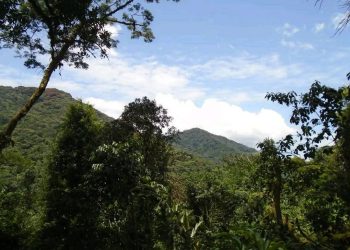 Ibivugwa ku masasu yavugiye mu Mibunda.