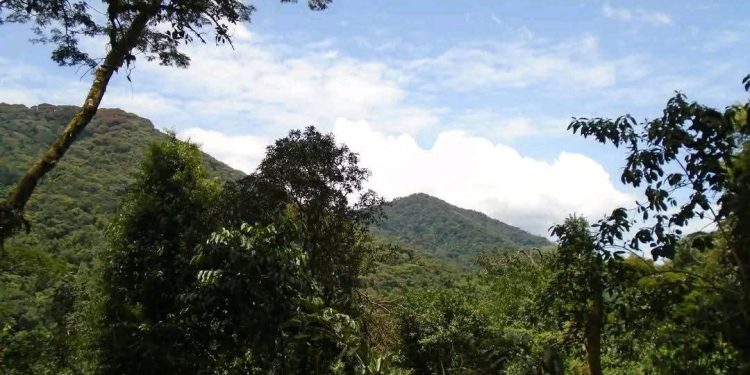 Ibivugwa ku masasu yavugiye mu Mibunda.