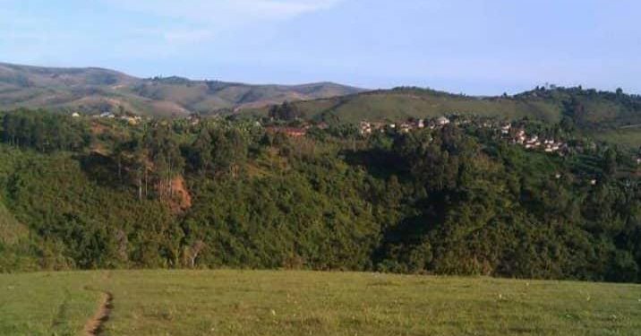 Bibogobogo: Inka za Banyamulenge zakiriye ahamana.