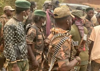 Wazalendo na FARDC basubiranyemo abasivili aba ari bo babigenderamo