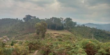 “Telefone y’umwungeri w’inka iri kwitabwa na Mai Mai-” ubuhamya bw’uwaburiwe irengero