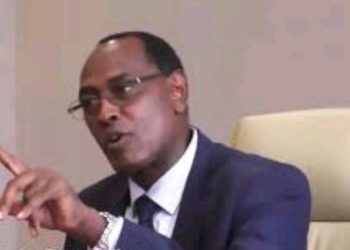 Hon. Nyarugabo ashyize ukuri hanze ku by’i ngabo z’u Burundi zikorera i Mulenge, ananenga n’amahanga arebera iyicarubuzo zikorera Abanyamulenge