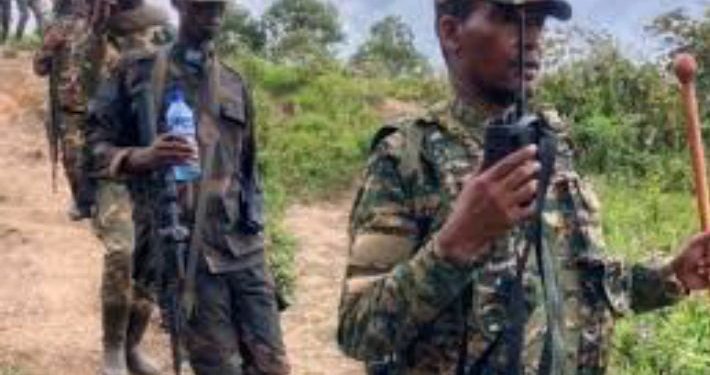 MRDP-Twirwaneho yakoze impinduka mu buyobozi bwa gisirikare, ishyiraho ba Colonel ba Lieutenant-Colonel n’aba Major bashya