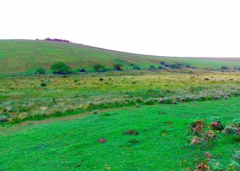 Isoko ya Mitamba yongeye Guhumeka Ubucuruzi mu Misozi y’i Mulenge, Buhuza Abaturage b’i Ndondo n’Ahandi