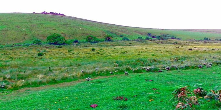 Isoko ya Mitamba yongeye Guhumeka Ubucuruzi mu Misozi y’i Mulenge, Buhuza Abaturage b’i Ndondo n’Ahandi