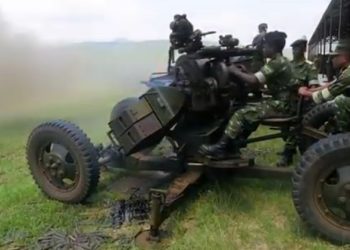 Kivu y’Epfo: Ibisasu Byaturutse i Burundi Byahitanye Umugore n’Abana Babiri