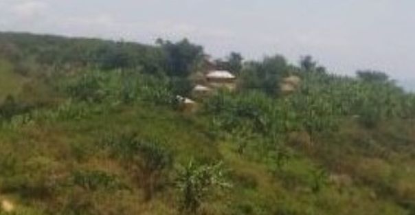 Bibogobogo Mu Biganiro by’Amahoro Mu Gihe Uvira Iri Mu Mirwano Ikaze