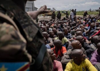 Abarwanyi ba Wazalendo Bahungiye mu Burundi Bari Kurya Imbwa Bitewe n’Imibereho Babayemo