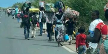 Choléra Yibasiye Abanye-Congo Bahungiye mu Burundi, Abatari bake Bamaze Gupfa