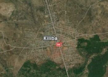 Umutwe wa Wazalendo Uravugwaho Kwica Abaturage mu Kibaya cya Rusizi, mu Ntara ya Kivu y’Amajyepfo