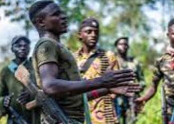 Umutwe wa NDC Wategetse Abaturage Gutanga Ihene ku Ngufu mu Minsi ya Noheli n’Ubunani