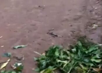 Amafoto Ateye Agahinda muri Kivu y’Epfo, y’Abasivili Bishwe n’Umutwe wa Wazalendo