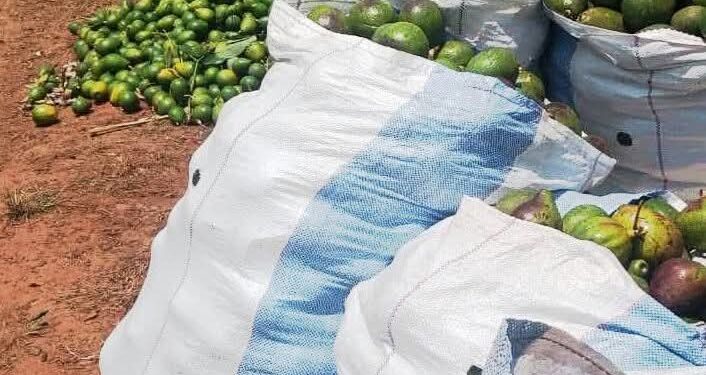 Avoka nk’Umuti Mushya wo Gukemura Ikibazo cy’Ibikomoka kuri Peteroli no Kubaka Ubukungu Burambye bw’u Burundi