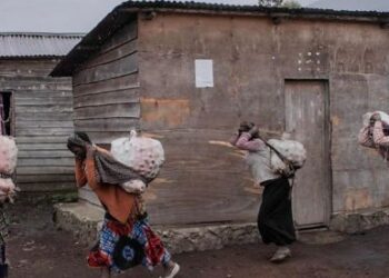 Imirwano Ikaze Hagati ya AFC/M23 na FARDC Yateye Impunzi Nyinshi mu Baturage