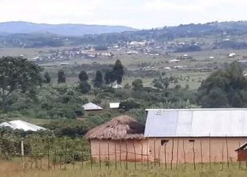 FARDC Yishe Umukecuru Ugeze mu Zabukuru Bikabije i Rundu