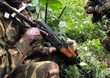 Imirwano Ikaze Yahuje AFC/M23 na FARDC, FDLR na Wazalendo i Biguri