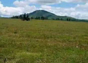 FARDC n’Abafatanyabikorwa Bayo Bashinjwe Kwibasira Imihana Ituwe n’Abanyamulenge