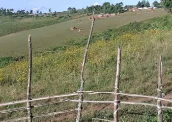 Intambara Yahinduye Imiterere muri Mikenge, Teritwari ya Mwenga