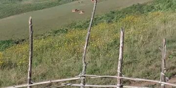 Intambara Yahinduye Imiterere muri Mikenge, Teritwari ya Mwenga