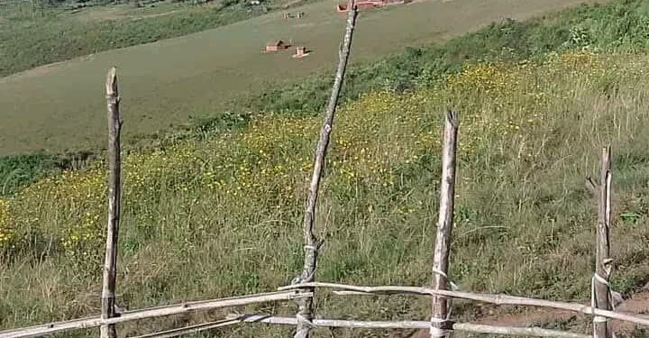 Intambara Yahinduye Imiterere muri Mikenge, Teritwari ya Mwenga