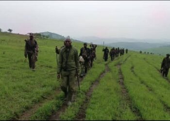 Mikenke: MRDP–Twirwaneho na M23 Bahanganye n’Ihuriro rya FARDC n’Abarwanyi Bafatanyije