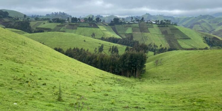 Kivu y’Amajyaruguru: Imirwano Ikomeye Yongeye Kubura hagati ya AFC/M23 n’Ingabo za Leta ya Congo; Abaturage Ibihumbi Barahunga