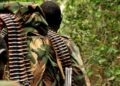 RDC: ADF Yongeye Kumena Amaraso y’Inzirakarengane mu Burasirazuba bwa Congo